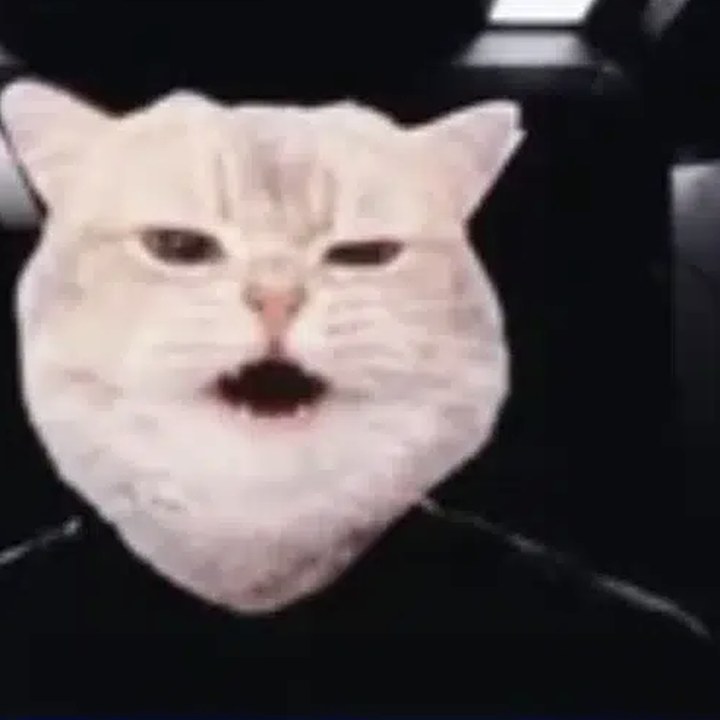 commander vrax, now a cat